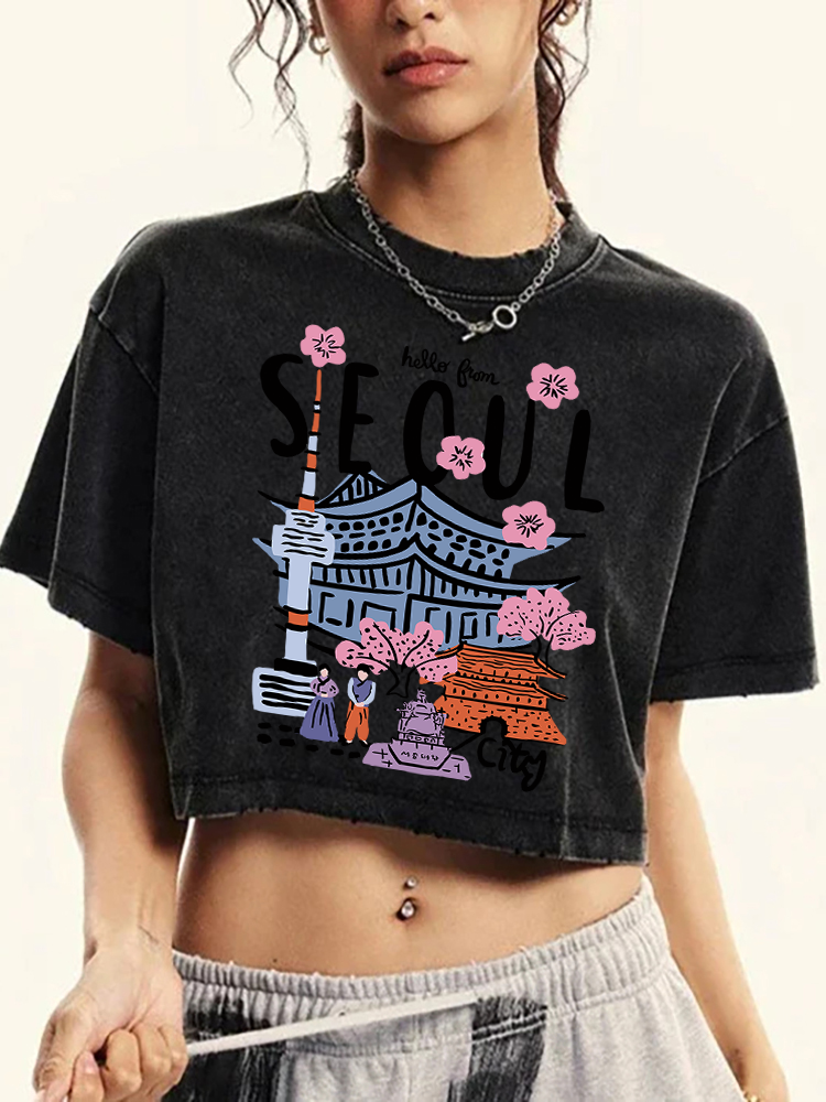 Seoul Beautiful Scenery Printi - Street Fashion Seoul reseña y precio